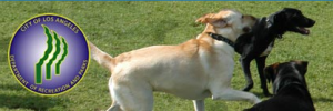 SEPULVEDA BASIN OFF-LEASH DOG PARK 17550 Victory Blvd., Encino,CA 91406